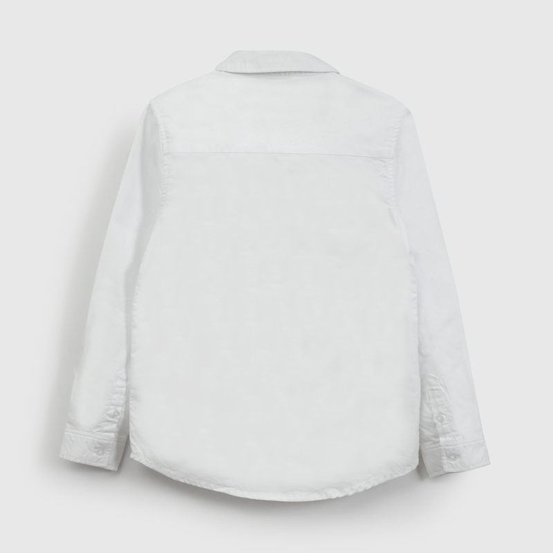 CAOX0110V26_2
