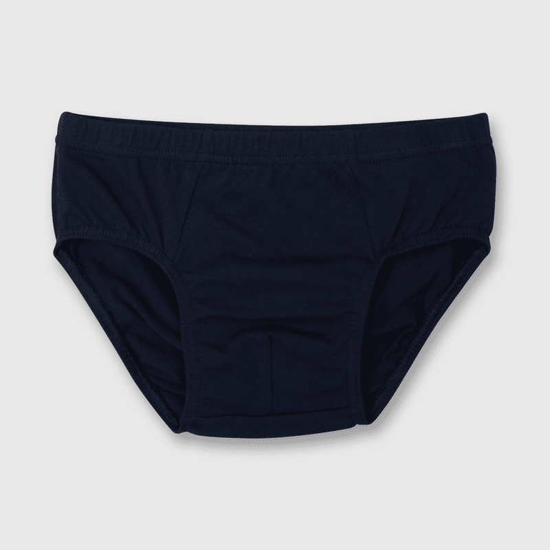 SPAL0110V22_2