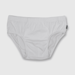 SPAL0110V22_4