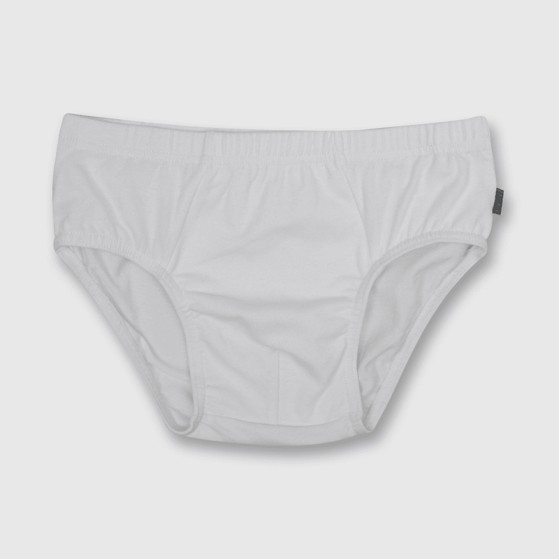 SPAL0110V22_4