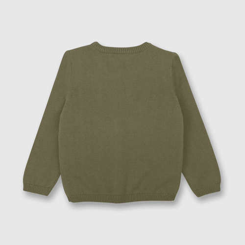 Sweater de niño perros verde