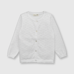 CHLA0610V23_1