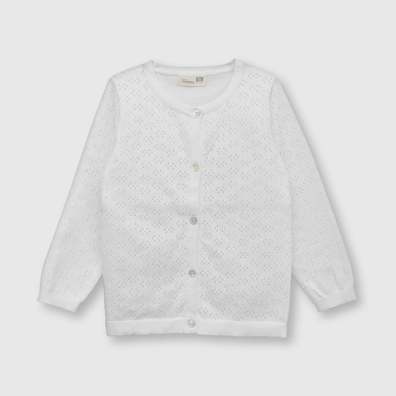 CHLA0610V23_1