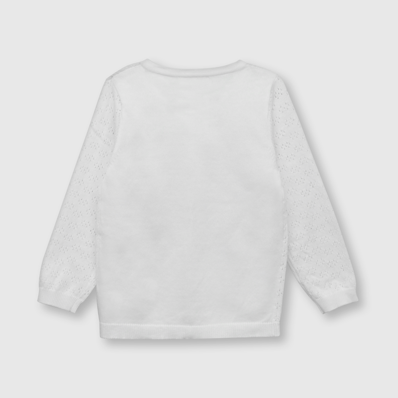 CHLA0610V23_2