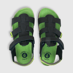 53550250V23_4