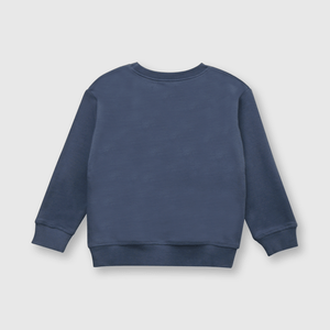 Polerón de niño azul