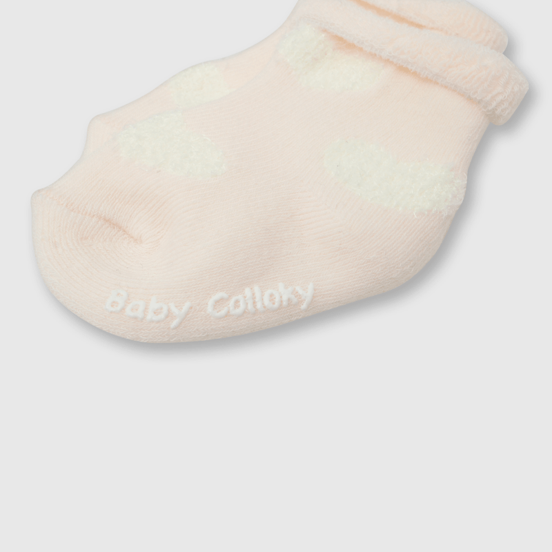 C2PE0430I23_2