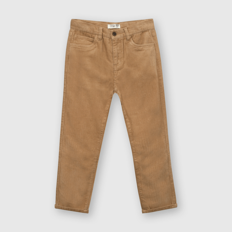 PTCO0160I23_1
