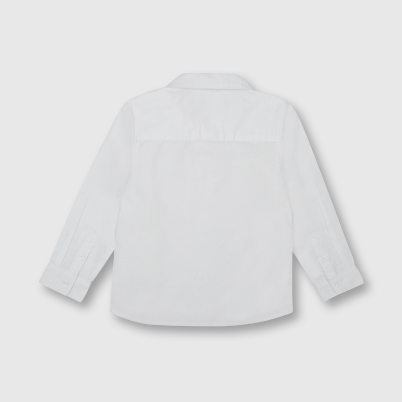 CAOX0110V24_2