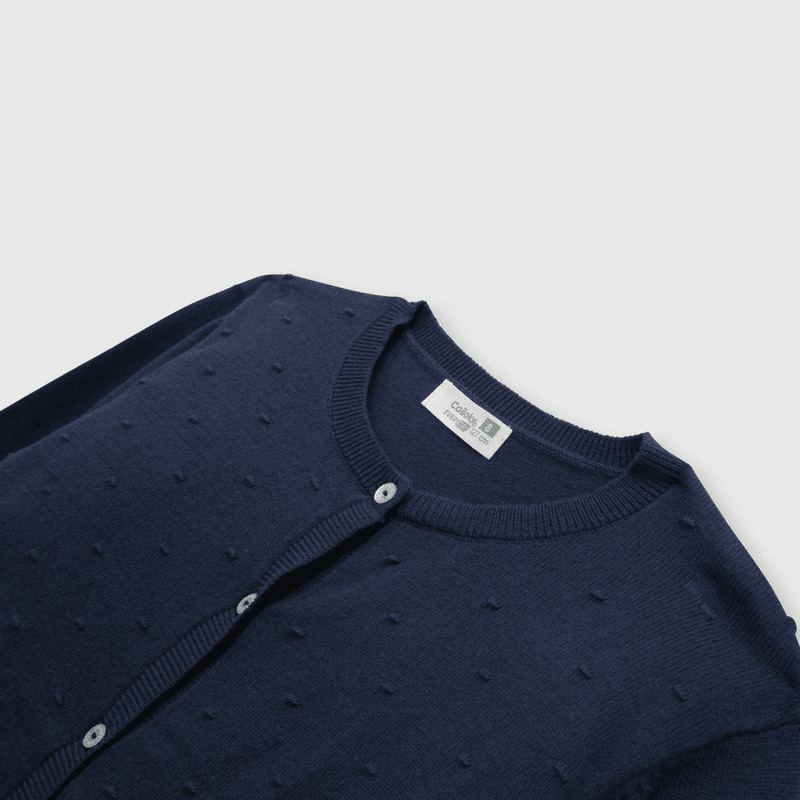 CHLA0450V24_3