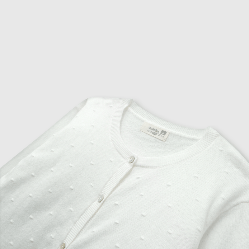CHLA0410V24_3