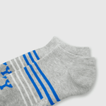 C1PE0111V24_2