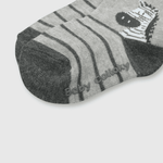 C2PE1160V24_2
