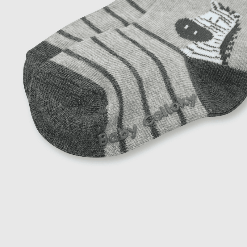 C2PE1160V24_2