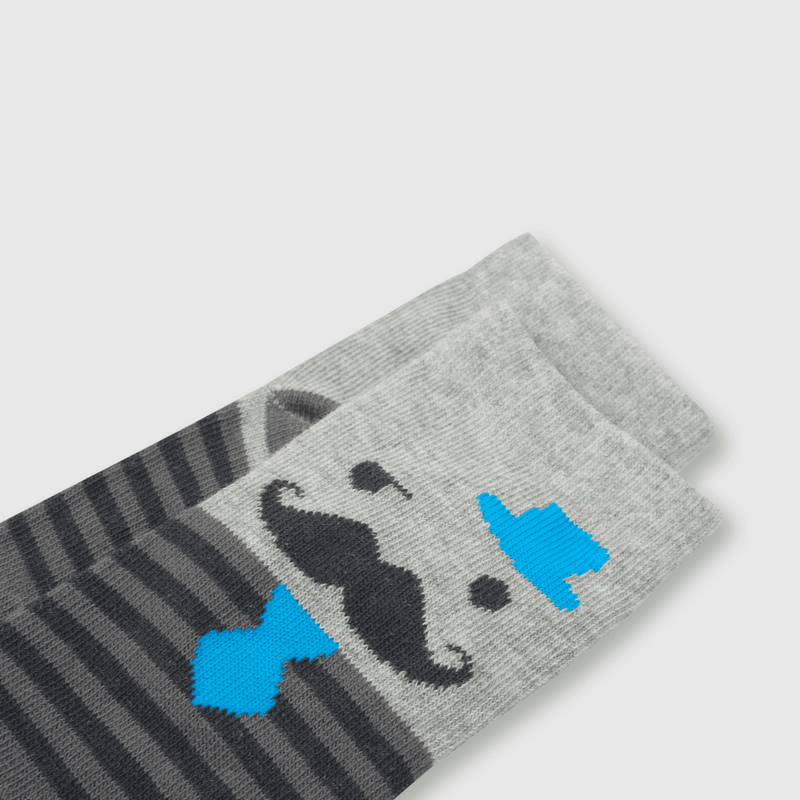 C2PE1711V24_2