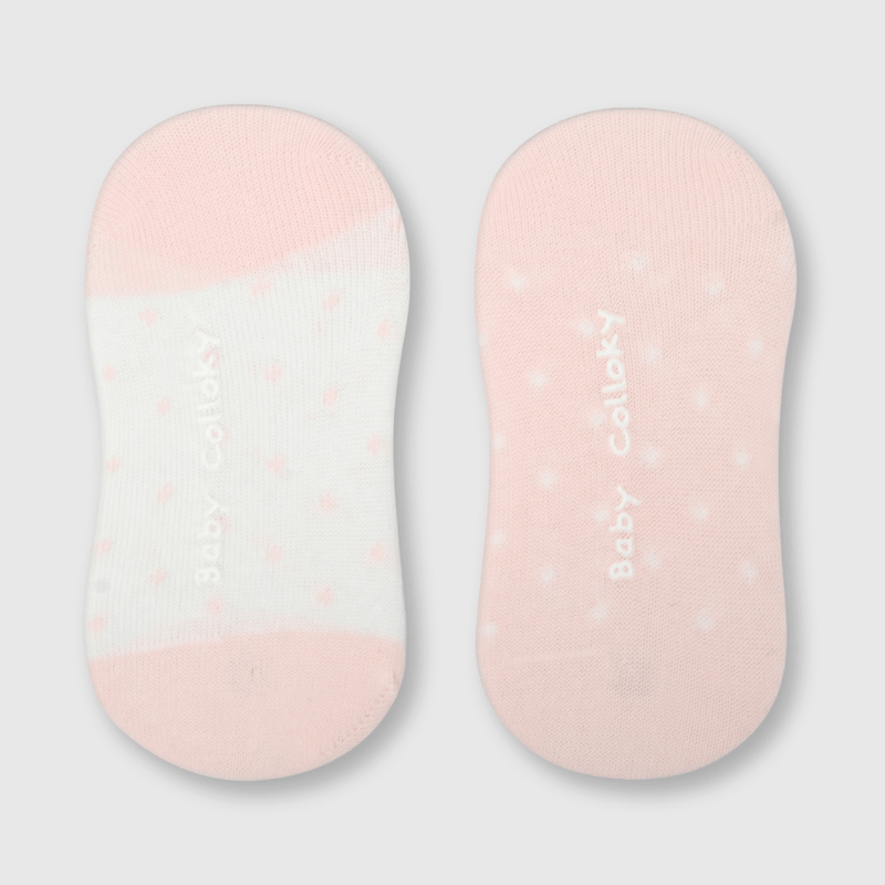 C2PE1630V24_2