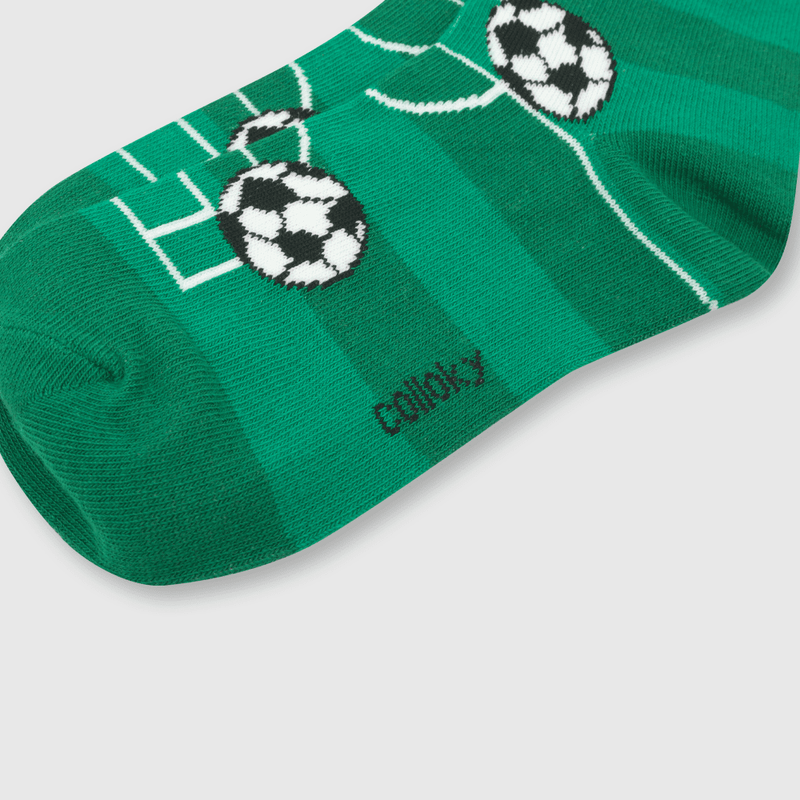 C3PE0750V24_2