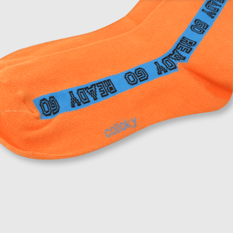 C3PE1550V24_2