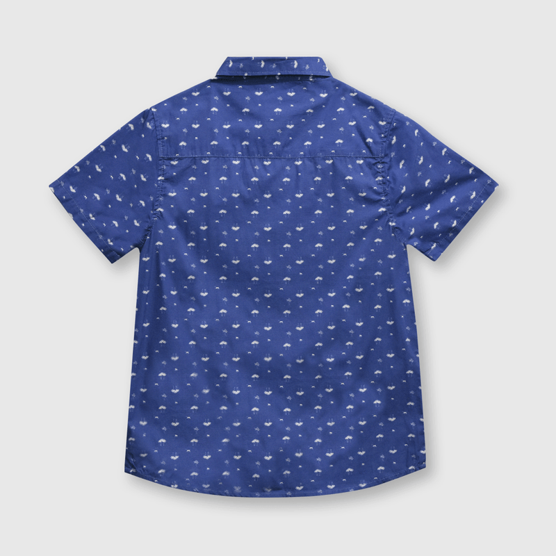 CAPN0350V24_2