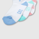 C1PE0210I24_2