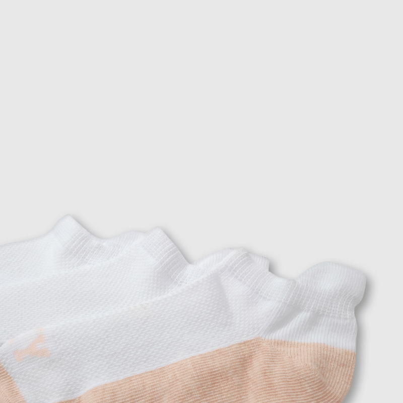 C1PE1210V25_2