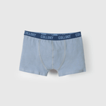 BXSX0150I25_4