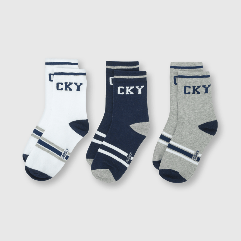 C3PE0111V24_1